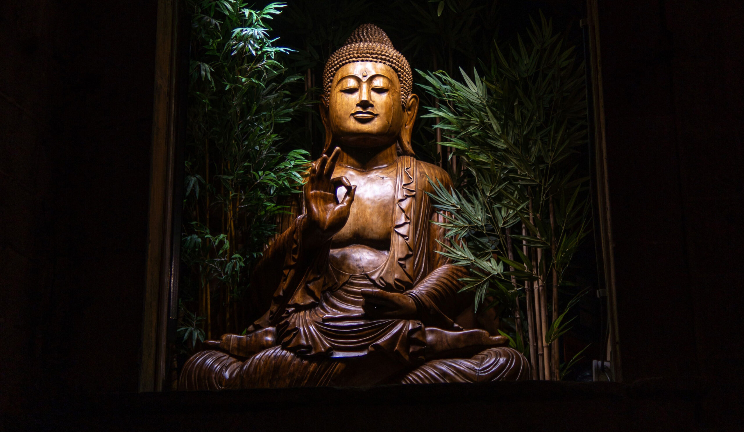 Wat is vipassana meditatie
